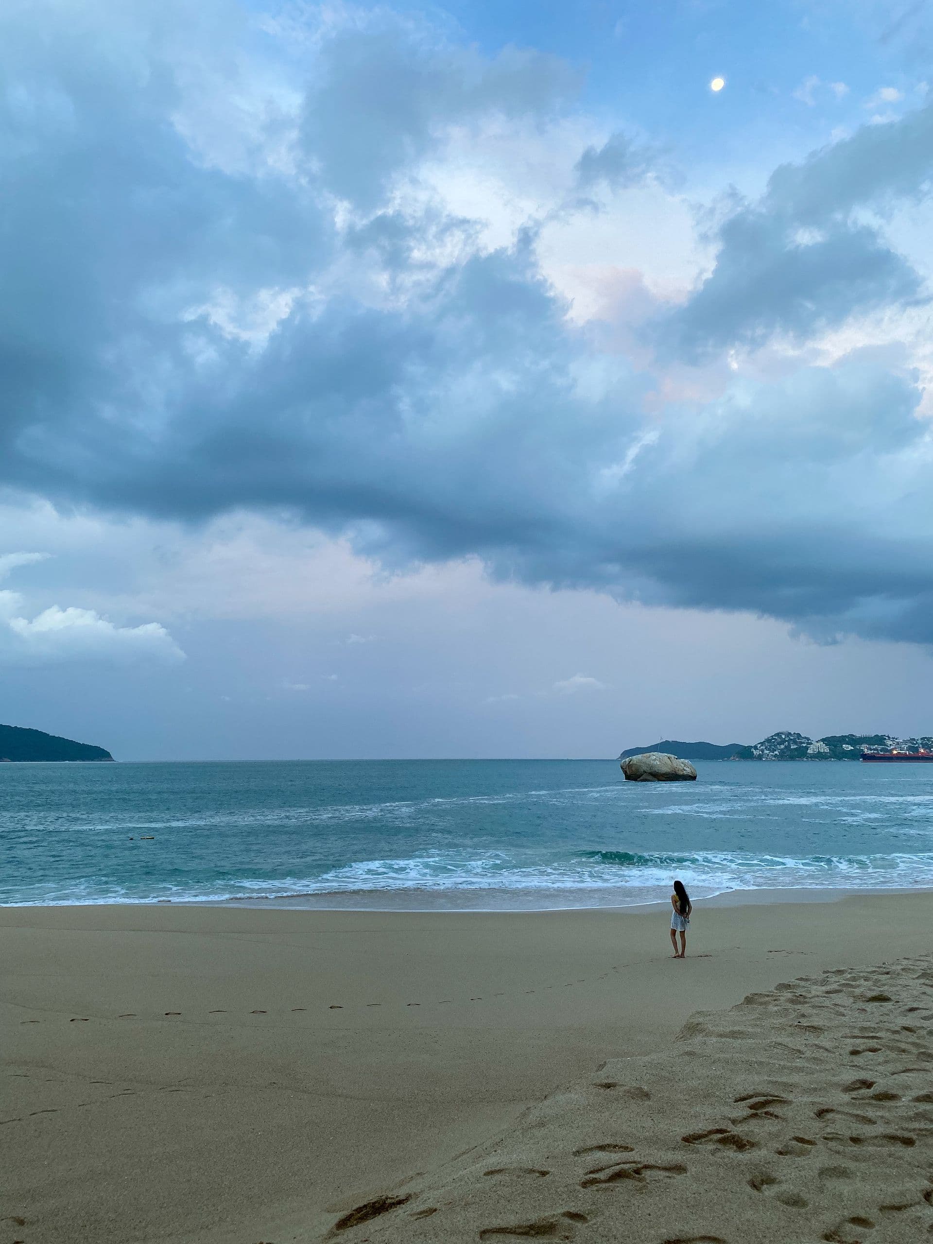 Palmeras en Acapulco