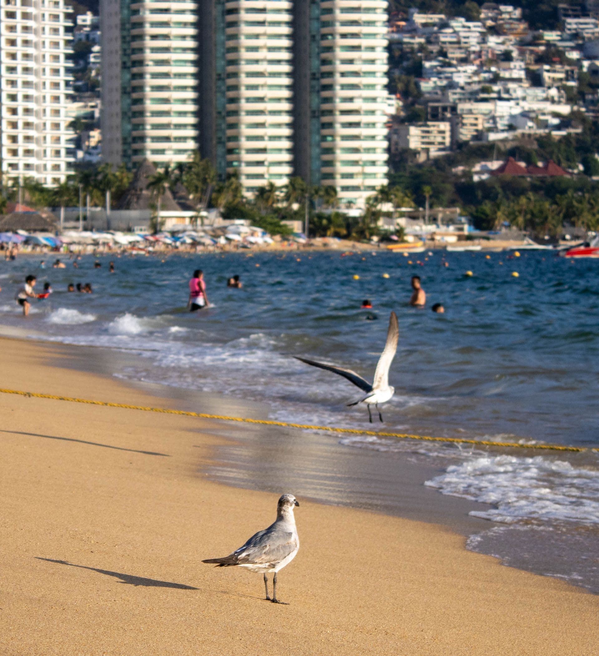 Playa privada en Acapulco