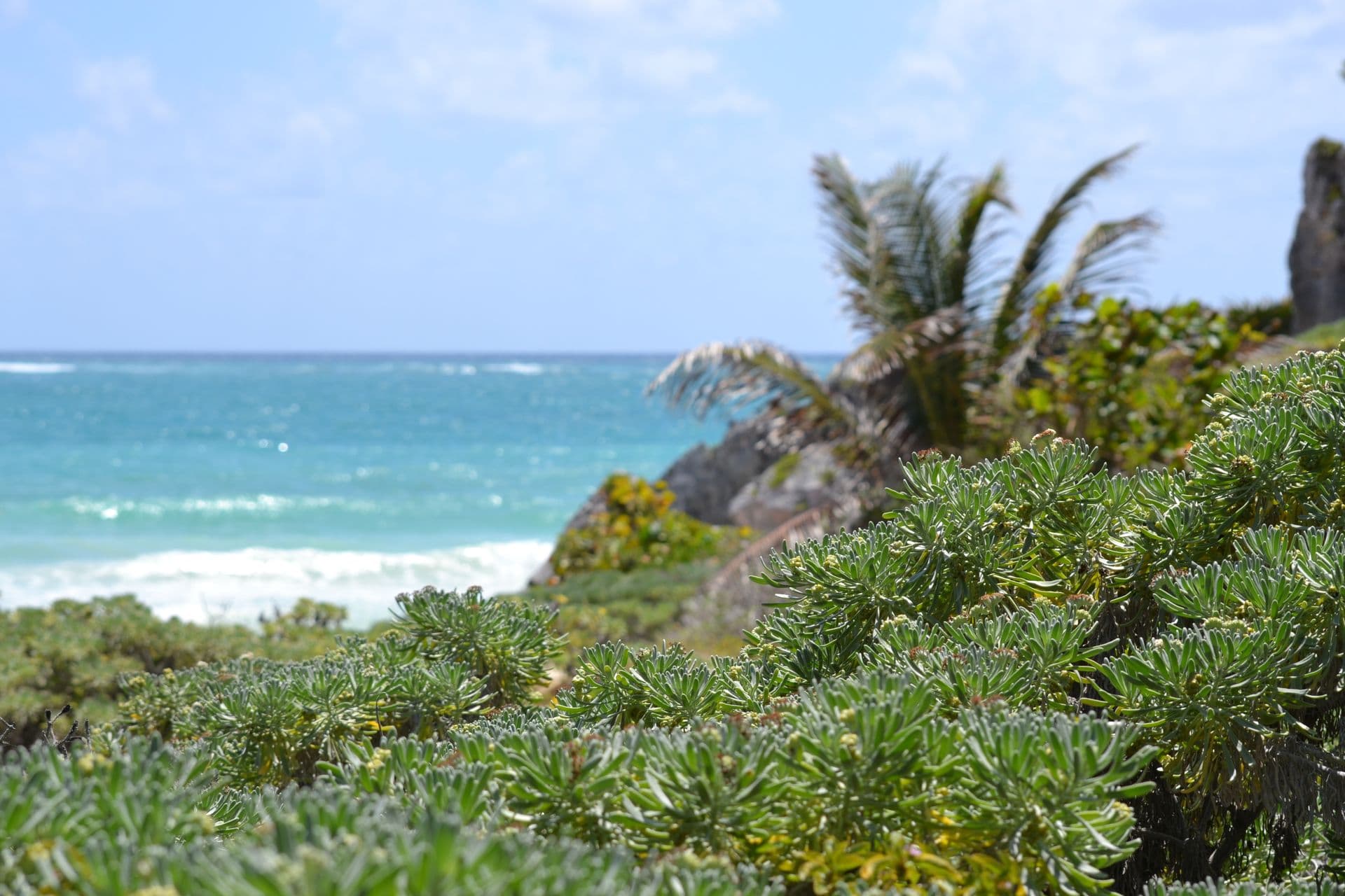 Playa con palapas