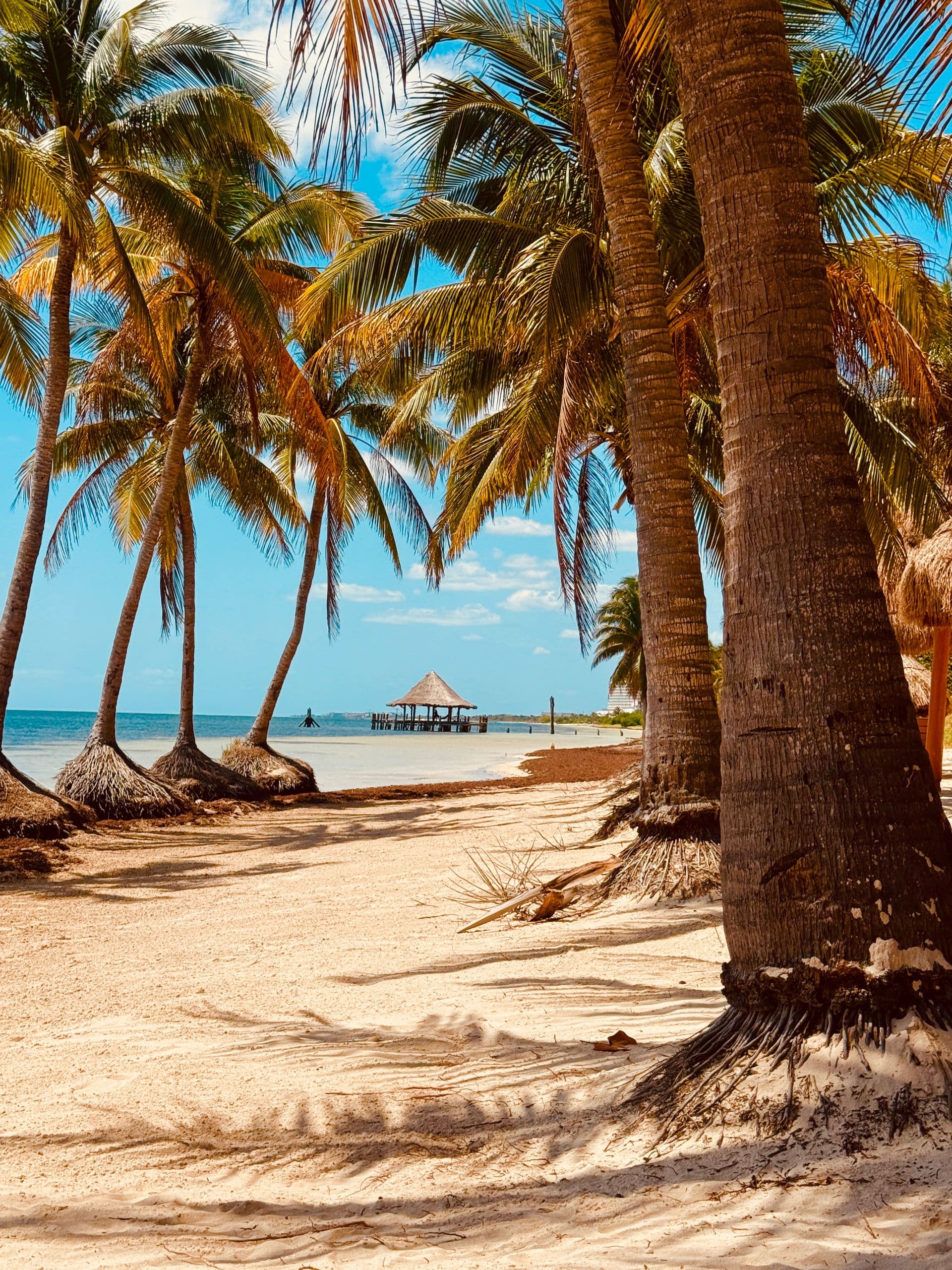 Acapulco, destino del Pacífico