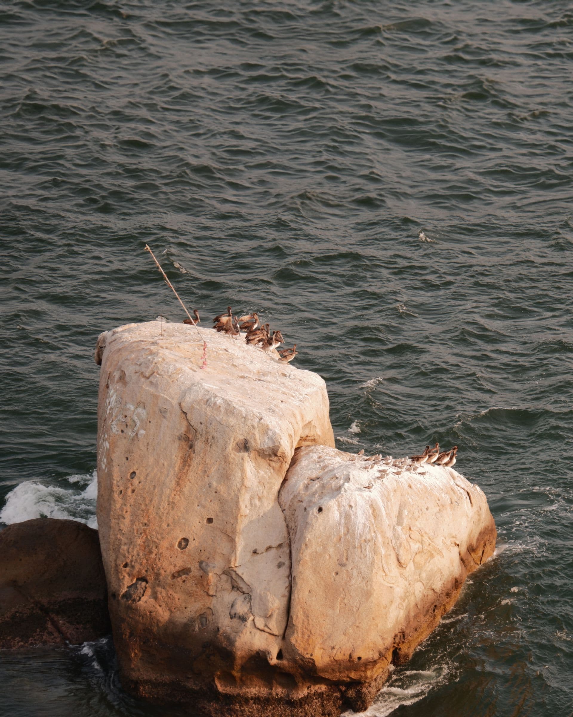 Bahía iluminada de Acapulco