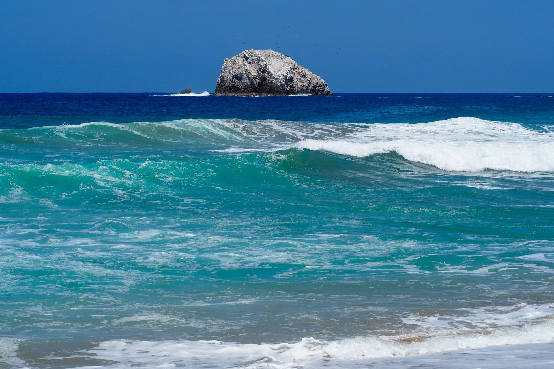 Vegetación y mar en Guerrero
